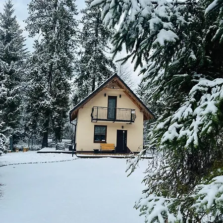Ferienhaus Przy Skoczni Z Balia Na Wylacznosc