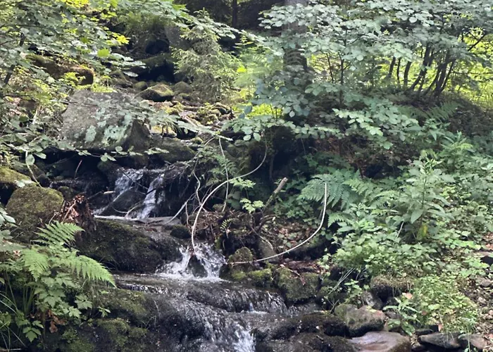 Przy Skoczni Z Balia Na Wylacznosc * Visla