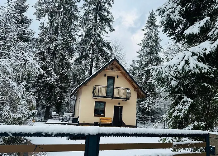 Holiday home Przy Skoczni Z Balia Na Wylacznosc