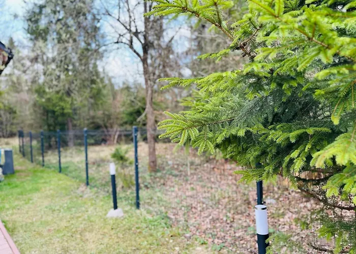 Przy Skoczni Z Balia Na Wylacznosc Wisla